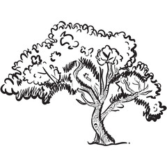 
A cedar tree icon design, hand drawn vector of natural tree 
