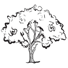 
Modern hand drawn vector of tree sketch, editable icon 
