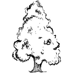 Obraz premium Hand drawn style of xmas tree, doodle icon 