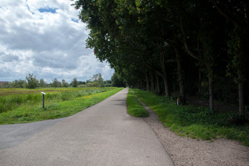 Fototapeta na wymiar Walking Path At The Amsterdamse Bos Amstelveen The Netherlands 28-7-2020