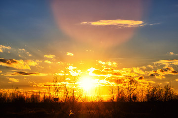 Obraz premium Bright red sunset on the background of cloudy sky and forest.