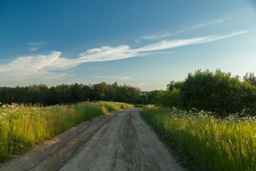 Dirty road in summer green field