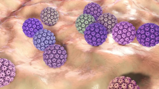 Human papillomavirus, a virus which causes warts, some strains infect genitals and can cause cervical cancer, 3D animation