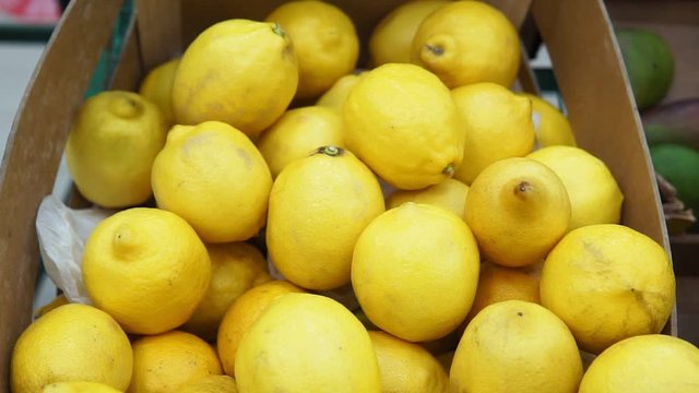 lemons background selling fruit at the market