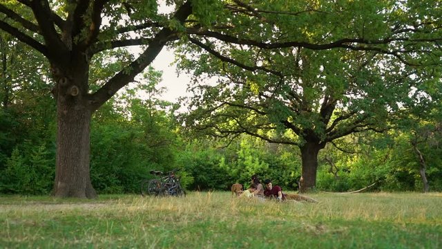 Family sitting on ground and having picnic under big oak trees, mother and son feeding dog, bicycles standing beside. Loving owners and pet spending time outside. Concept of relaxing
