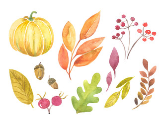 Watercolor autumn set. Hand-painted autumn leaves, rosehip berries, acorns and pumpkins, on a white background, is Ideal for decorating cards, invitations. home decor