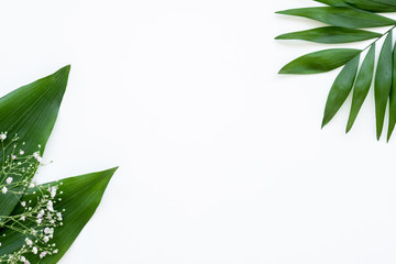 Floral background. Plant decor. Green exotic lush leaf white delicate flowers minimal arrangement...