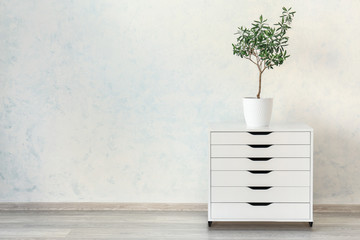 Chest of drawers with houseplant near white wall