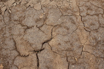 Terre souffrant de la sécheresse