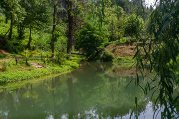 Fototapeta na wymiar Beautiful park in Tsikhisdziri resort, nature, Adjara