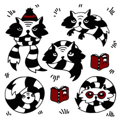 Cartoon cat raccoon. Collection of vector raccoons with a book.