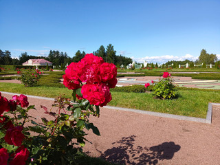 Fototapety na wymiar - Fototapeta24.pl