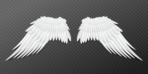 Paired angel or bird wings template, realistic vector illustration isolated.