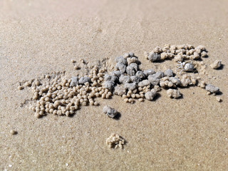 Beach Sand texture. Sandy sea for background.