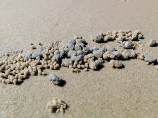 Fototapeta na wymiar Beach Sand texture. Sandy sea for background.