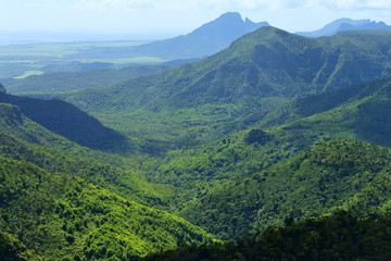 Naklejka premium Mauritius scenery. Black river national park