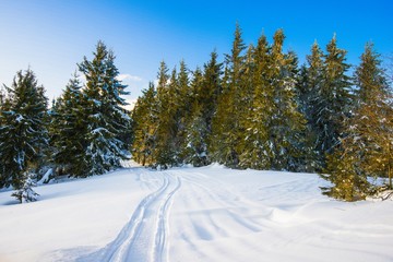 ATV and ski tracks in snow on frosty winter day