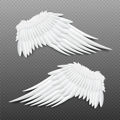 Angel or bird wings with feathers realistic vector mockup illustration isolated.