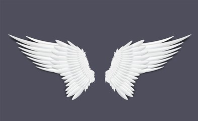 Plakat Template of feathers angel or bird wings realistic vector illustration isolated.