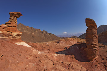 The forms of sandstone in Eilat, Israel