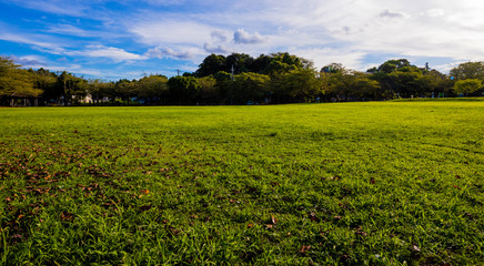 Naklejka premium 夏景色