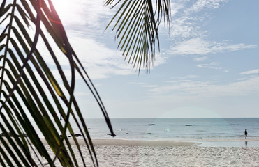 Fototapeta na wymiar Tropical beach, summer sea sunny sky background