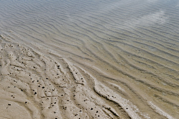 Beach Sand texture. Sandy sea for background.