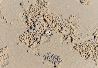 Beach Sand texture. Sandy sea for background.