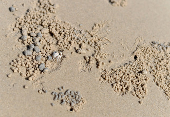 Beach Sand texture. Sandy sea for background.