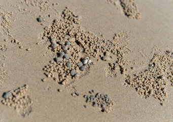 Beach Sand texture. Sandy sea for background.