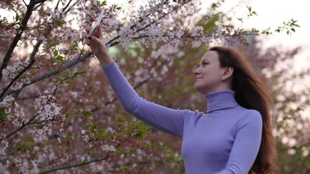 Woman take picture or shoot video of sakura tree branch, portrait shot of tourist at Sotobori Park. Attractive young lady hold phone in hand, raise left hand and touch screen to start recording