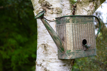 Birdhouse on the tree in the park