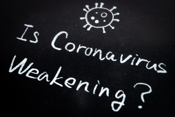 Fototapeta premium Close up of the phrase Is Coronavirus Weakening? by handwriting by white coloured chalk on blackboard. The surface of blackboard is powdery and rough.