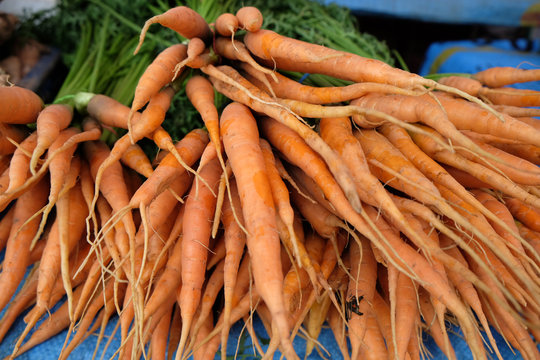 Bunch of fresh organic carrots on a stall in Farmers Market. Healthy eating and healthy lifestyle vegetable - Image