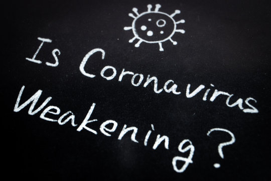 Close up of the phrase Is Coronavirus Weakening? by handwriting by white coloured chalk on blackboard. The surface of blackboard is powdery and rough.