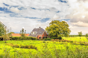 Fototapeta na wymiar Engherzandweg, city of Linschoten, Dutch province of Utrecht, Netherlands, September 9, 2017: Rural area of the town of Linschoten with farms, old houses with orchards and meadows with cattle