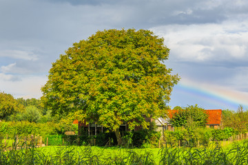 Engherzandweg, city of Linschoten, Dutch province of Utrecht, Netherlands, September 9, 2017: Rural area of the town of Linschoten with farms, old houses with orchards and meadows with cattle