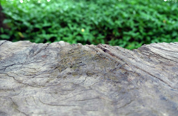 Empty wood table top on blur abstract green from garden in morning background. can be used for display or montage your products
