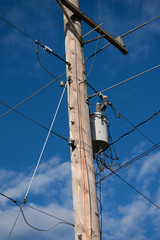 Dried vines can be seen just under the transformer on the utility pole in Windsor NY.  