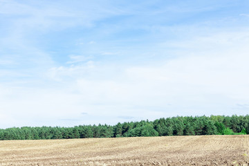 Fototapeta na wymiar Agricultural plowed field with blue sky