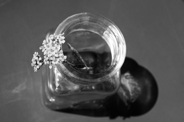 glass jar with a flower on an orange background. minimalism concept