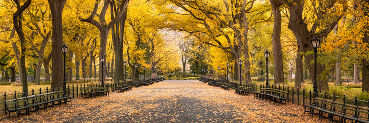 Central Park in autumn, New York City, USA - Powered by Adobe
