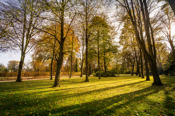 autumn park in the park