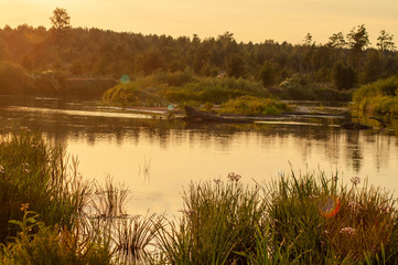orange sunset over the river. sunset over the river. beautiful warm summer red sunset