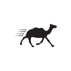Camel animal logo design template