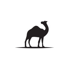 Camel animal logo design template