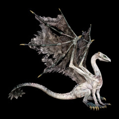 Fototapeta premium 3D Rendering Fairy Tale Dragon on Black
