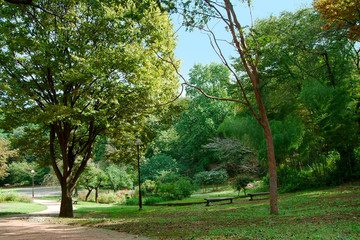 神奈川県立三ツ池公園（横浜市鶴見区）