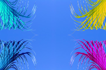 Fototapeta na wymiar Palmes couleurs sur fond de ciel bleu 