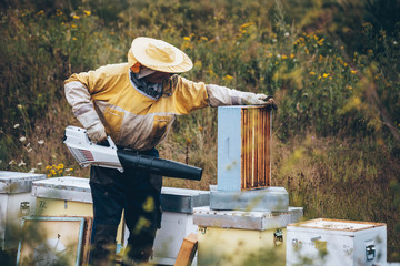 Portrait of a beekeeper in protective wear working with the bee smoker equipment